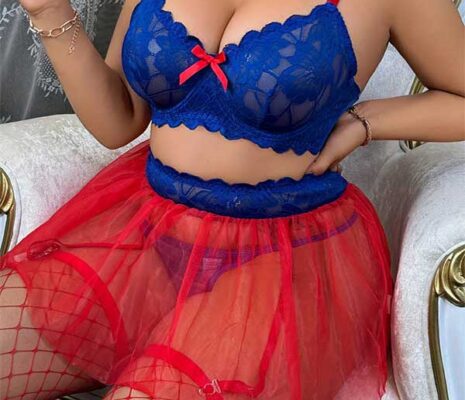 Elegant Lace Top with Transparent Skirt and Thong SL-033