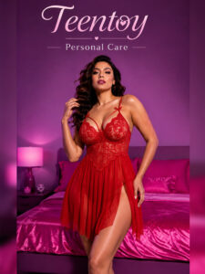 Softwrap Sheer Lace Babydoll Dress